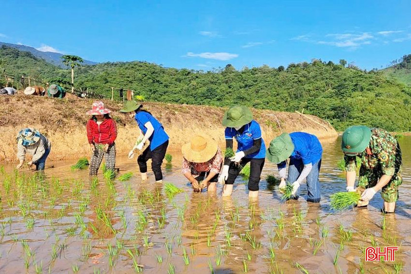 Lực lượng trí thức trẻ tình nguyện ở các đoàn kinh tế - quốc phòng của Quân khu 4 xung kích giúp dân phát triển kinh tế, xã hội, xóa đói giảm nghèo trên tuyến biên giới Nghệ An. Anh 8 - Copy.jpg