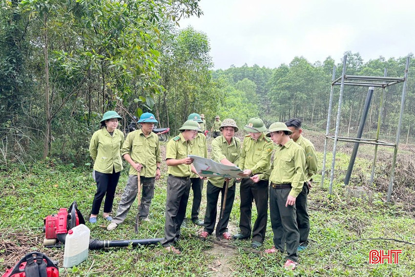 Ban Quản lý Rừng phòng hộ Nam Hà Tĩnh phối hợp lực lượng kiểm lâm triển khai xử lý vật liệu cháy dưới tán rừng và làm đường băng trắng cản lửa. bqbht_br_1-copy.jpg