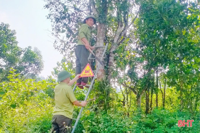 Công nhân Công ty TNHH MTV Lâm nghiệp và Dịch vụ Chúc A treo biển "cấm lửa" tại các khu vực rừng dễ cháy để nhắc nhở, cảnh báo người dân. bqbht_br_z6485911662388-5007fa60258652778d6834a63001a0c3-copy.jpg