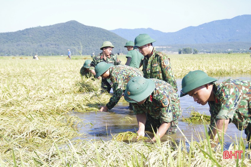 LLVT giúp đỡ Nhân dân huyện Lộc Hà thu hoạch lúa ngập nước do mưa lũ gây ra. bqbht_br_a.jpg