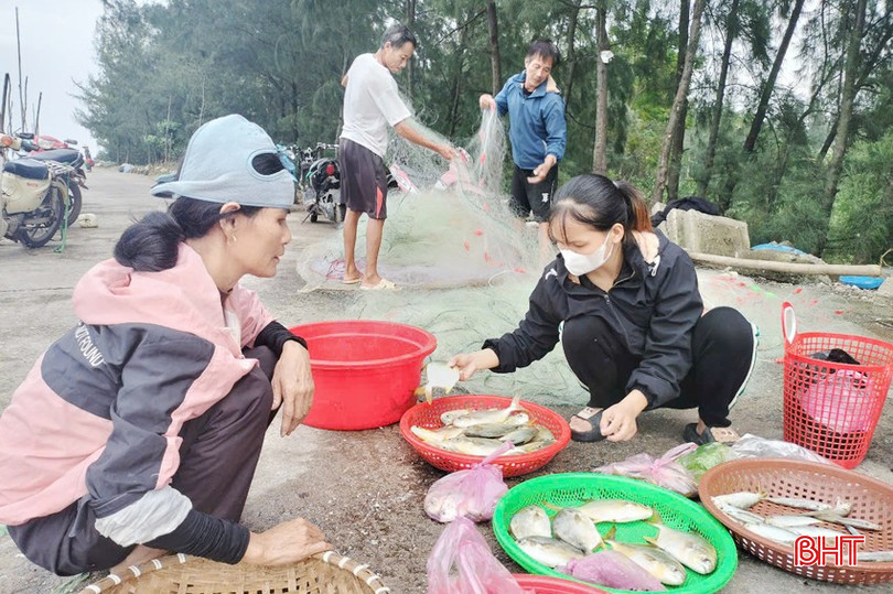 Thành quả của mỗi chuyến đi biển là những mớ cá tươi ngon, được tiểu thương ra tận bến mua với giá cao. bqbht_br_5-copy.jpg