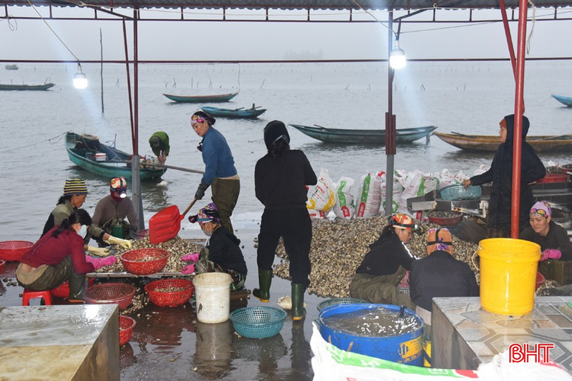 Từ tinh sương, ở khu vực bến tập kết ngao của thôn Mai Lâm đã có không khí làm việc sôi động, nhộn nhịp. bqbht_br_dsc-6533-copy.jpg