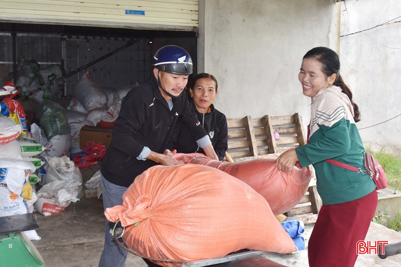 Từ chỗ được nhận sự giúp đỡ, nay chị Thanh đã có thể giúp 2 - 3 chị em hoàn cảnh khó khăn trong thôn có việc làm và thu nhập ổn định. bqbht_br_dsc-2113.jpg