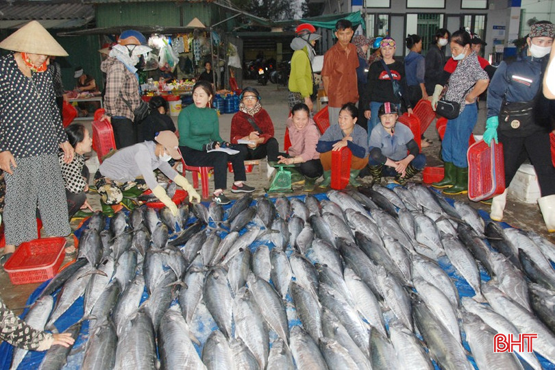 Những loại hải sản tươi ngon, có giá trị được ngư dân Hà Tĩnh đánh bắt về bán ở cảng cá Cửa Sót. bqbht_br_22-copy.jpg