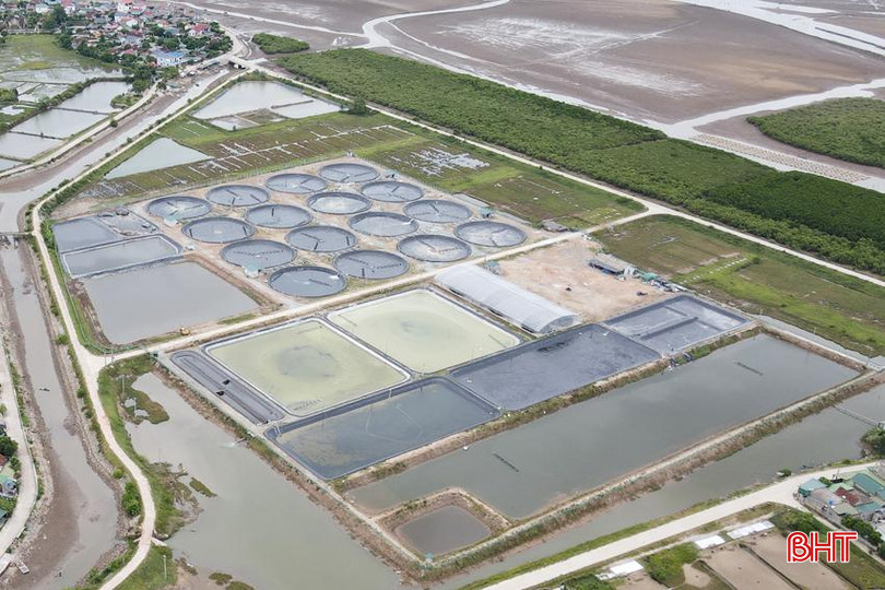 Khu nuôi tôm thẻ công nghệ cao của Công ty cổ phần Thủy sản Long Vân (giai đoạn 1). DJI_0034 - Copy.JPG