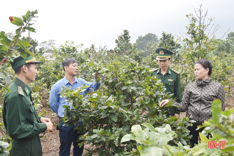 BĐBP Đèo Ngang cùng đại diện chính quyền xã Kỳ Nam xuống động viên Nhân dân chăm lo làm ăn, phát triển sản xuất. bqbht_br_dsc-1412.jpg
