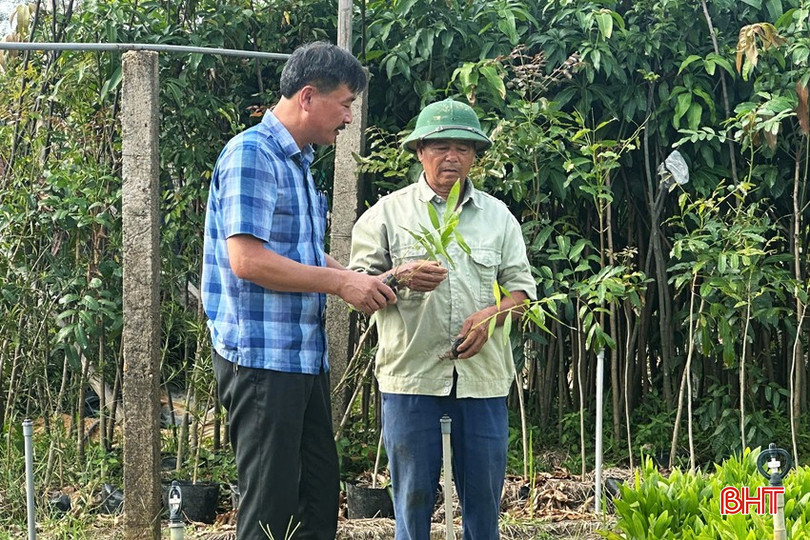 Người dân xã Thạch Xuân kiểm tra cây giống chuẩn bị cho vụ sản xuất chính trong năm. bqbht_br_nguoi-dan-xa-thach-xuan-kiem-tra-lua-chon-cay-giong-cho-chu-ky-san-xuat-moi.jpg