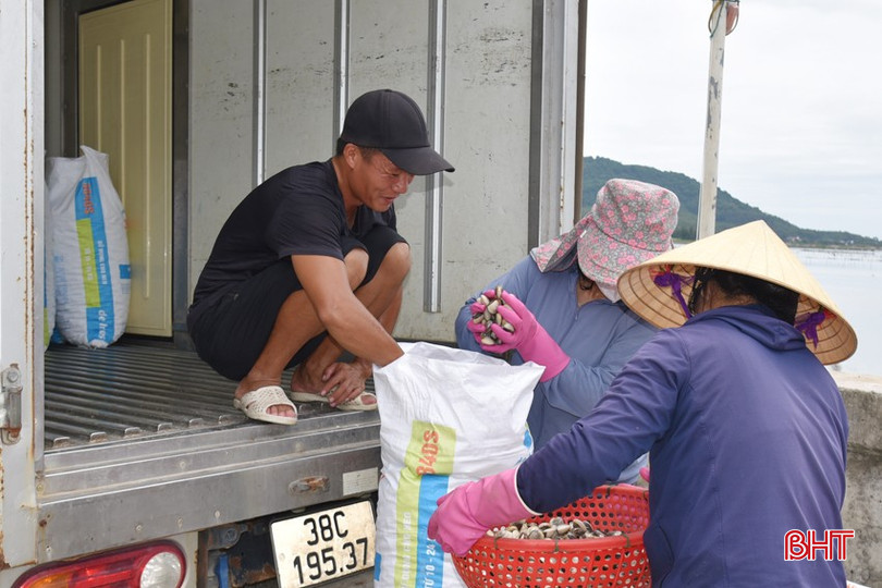 Thương lái đưa xe đông lạnh đến thu mua ngay tại bến. bqbht_br_dsc-9628.jpg