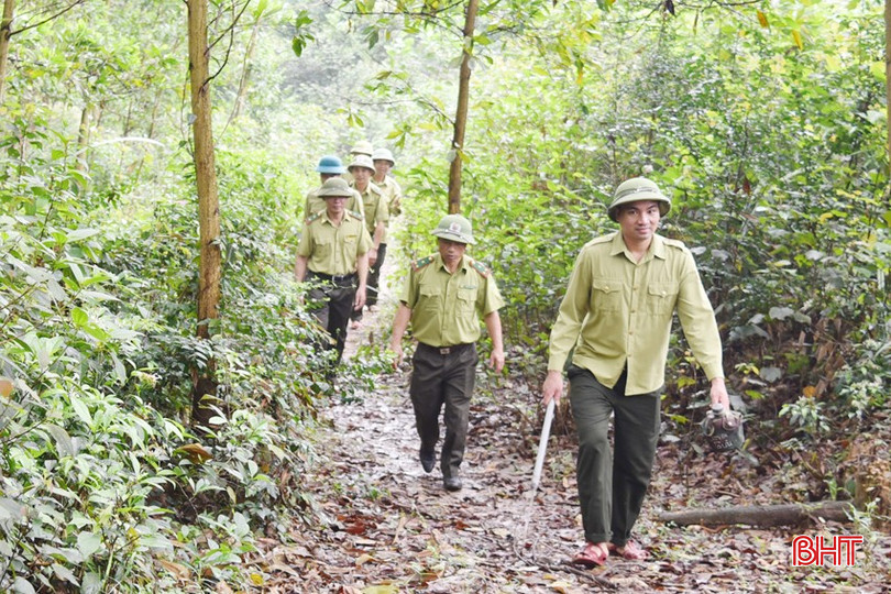 Lực lượng kiểm lâm và cán bộ Ban Quản lý rừng phòng hộ Hương Khê tuần tra những khu vực rừng dễ bị xâm hại. bqbht_br_dsc-3477-copy.jpg