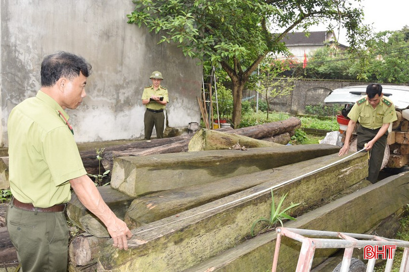 Kiểm lâm Hương Khê kiểm đếm tang vật thu giữ trong các vụ vi phạm lâm luật. bqbht_br_dsc-3368-copy.jpg