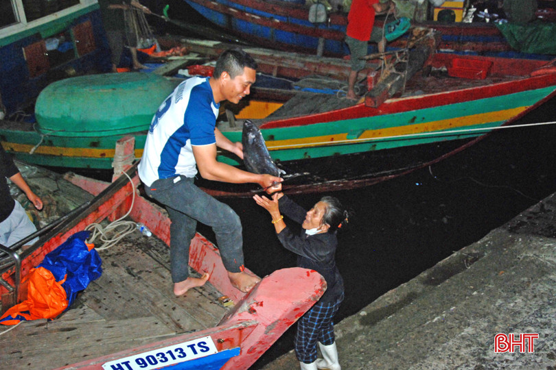 Những con cá tươi ngon, giá trị cao được ngư dân thị trấn Lộc Hà đánh bắt mang về bờ phục vụ Tết. bqbht_br_9-copy.jpg