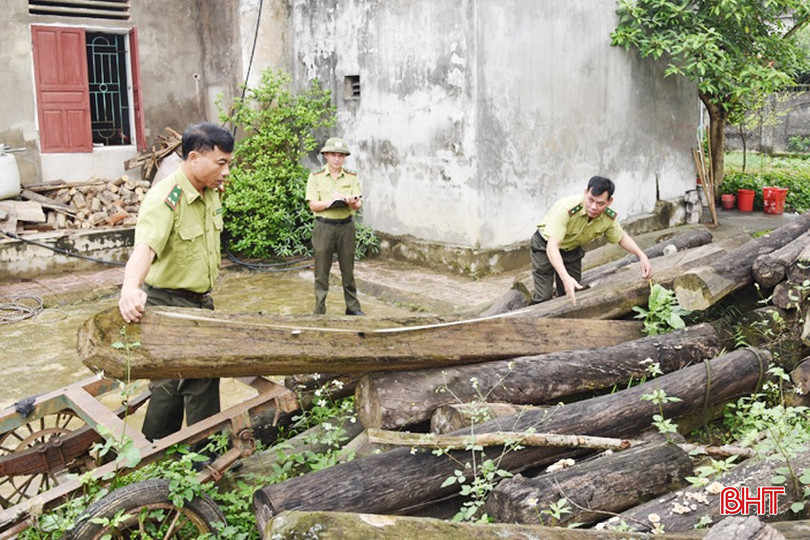 Kiểm lâm Hương Khê kiểm tra tang vật (gỗ tạp) đã hủy mục được tịch thu qua các vụ vi phạm lâm luật từ nhiều năm trước. bqbht_br_dsc-3367-copy-8007.jpg