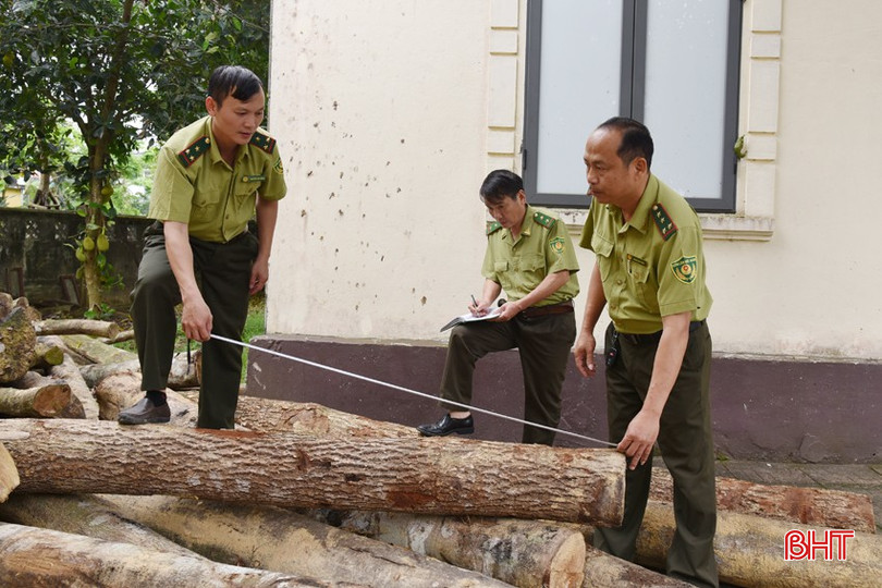 Những năm gần đây, số gỗ tịch thu được từ các vụ vi phạm lâm luật ở Vũ Quang ngày một ít và đều là gỗ tạp, gỗ tròn, đường kính nhỏ. bqbht_br_dsc-3559-copy.jpg