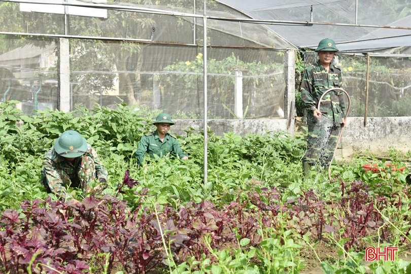 CBCS Đồn Biên phòng Thiên Cầm (Cẩm Xuyên) chăm sóc vườn rau mùa hè.