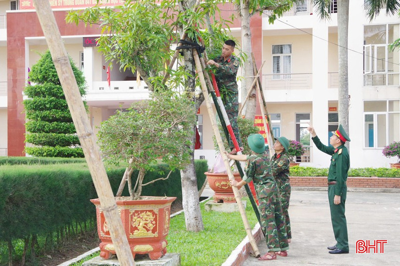 Tập luyện cách chống đỡ cây cối trước khi có thiên tai. bqbht_br_4-copy.jpg