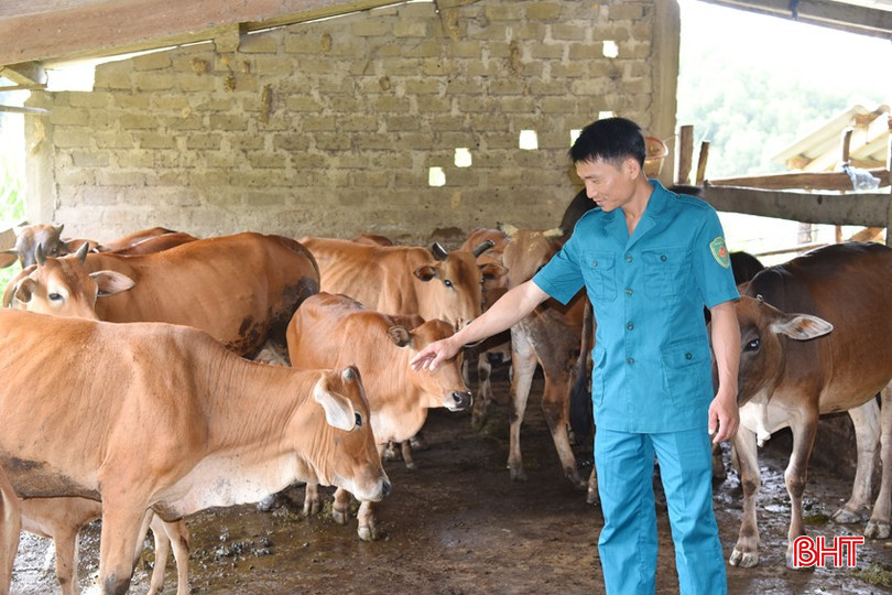 Mô hình kinh tế vườn - ao - chuồng - rừng của anh của Đoàn Văn Trung – Chỉ huy trưởng Ban CHQS xã Kỳ Sơn. dsc-3666-2745.jpg