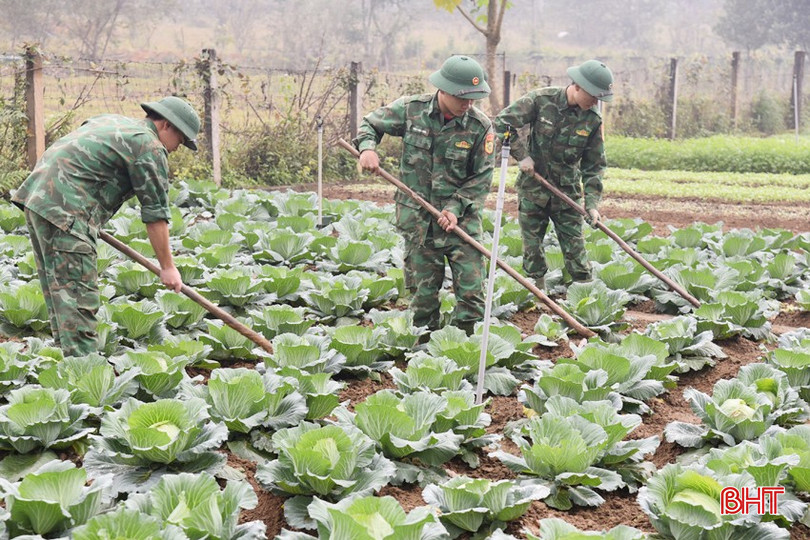 Những luống rau xanh mướt đang được những người lính biên phòng Hòa Hải chăm sóc cẩn thận. bqbht_br_2.jpg