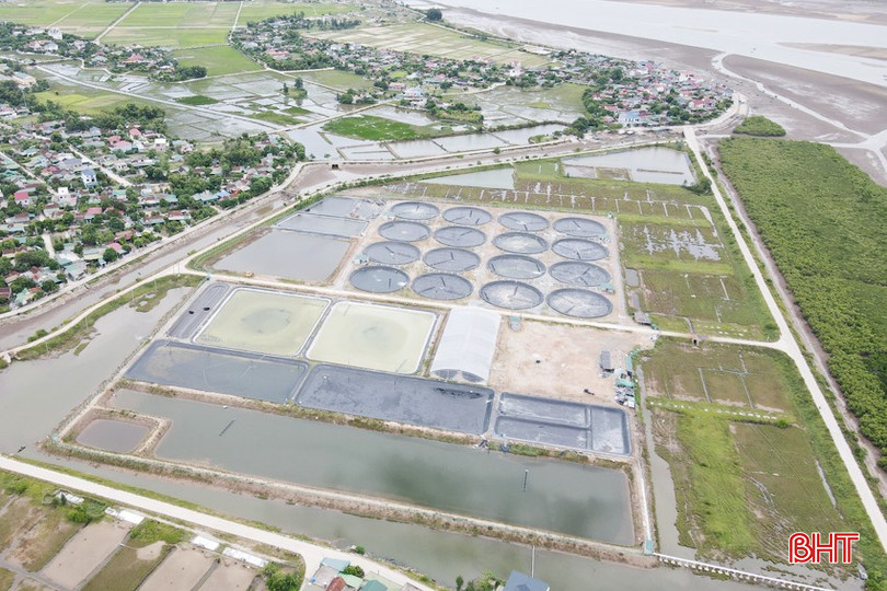 Hồ nuôi tôm đầu tư quy mô, hiện đại, đồng bộ của Công ty cổ phần Thủy sản Long Vân ở xã Mai Phụ (Thạch Hà). bqbht_br_dji-0036-copy.jpg