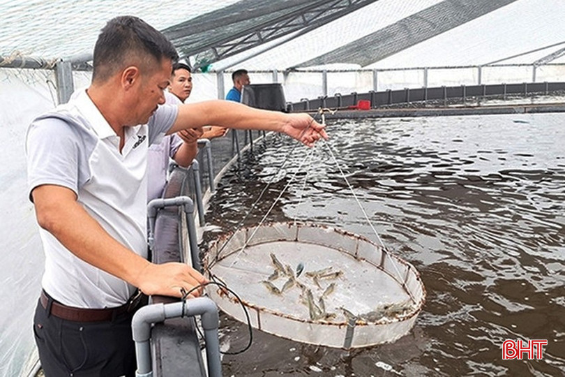 Người nuôi trồng ở xã Đan Trường (Nghi Xuân) đầu tư hàng tỷ đồng để nuôi tôm công nghệ cao trong nhà. bqbht_br_dan-truong-copy.jpg