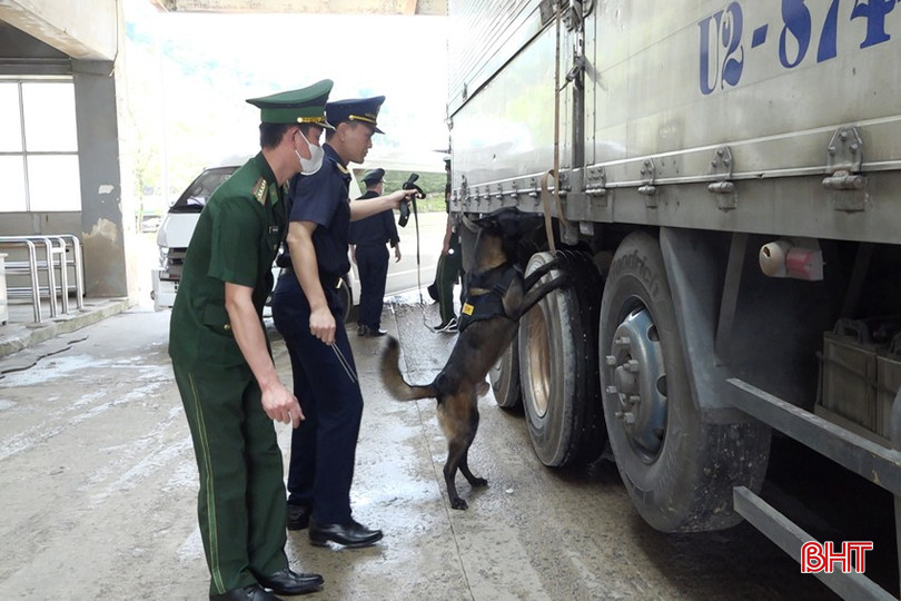 Lực lượng biên phòng và hải quan Cửa khẩu quốc tế Cầu Treo sử dụng chó nghiệp vụ kiểm tra các phương tiện có khả năng vận chuyển hàng cấm. 231.jpg