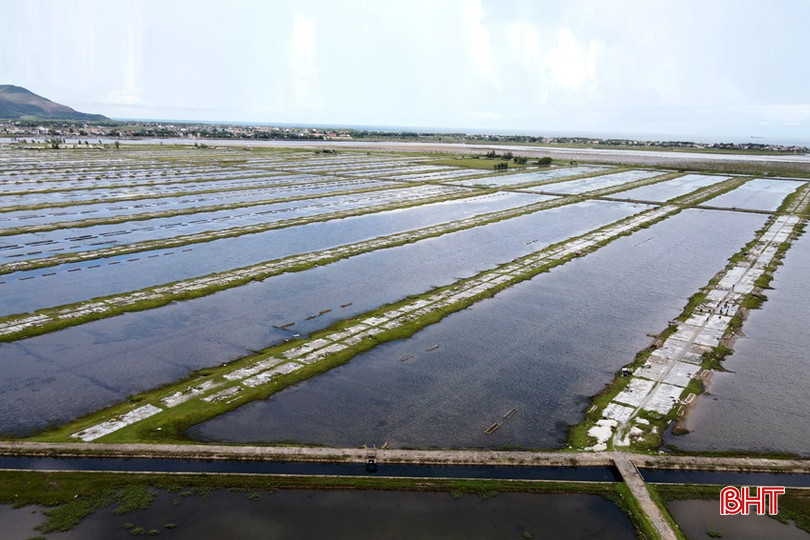 Đồng muối rộng 73 ha của xã Kỳ Hà sản xuất không hiệu quả, làm manh mún, nhiều diện tích bỏ hoang. dt-dji-0978-2874-1368.jpg