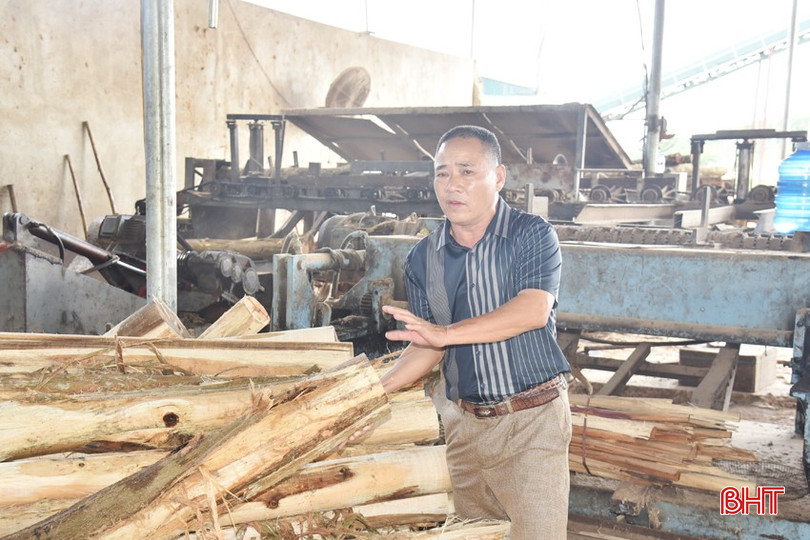 Những khúc gỗ bị dập, vỡ không thể bóc ván hay xẻ thanh được đưa vào băm dăm để tránh lãng phí. dsc-1066-copy-4313-8454.jpg