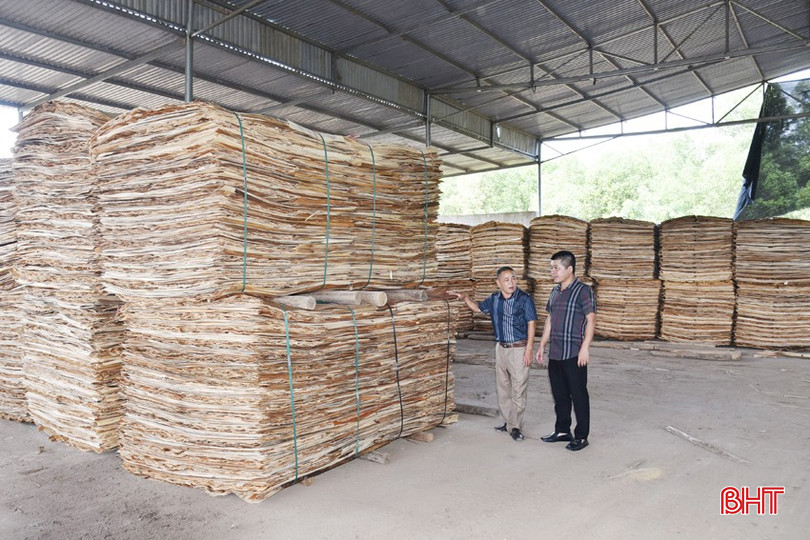 Công ty Dịch vụ thương mại Ngàn Phố là nơi thu mua, cưa xẻ gỗ thanh, bóc ván kết hợp xay băm dăm. dsc-1054-copy-9719-4887.jpg