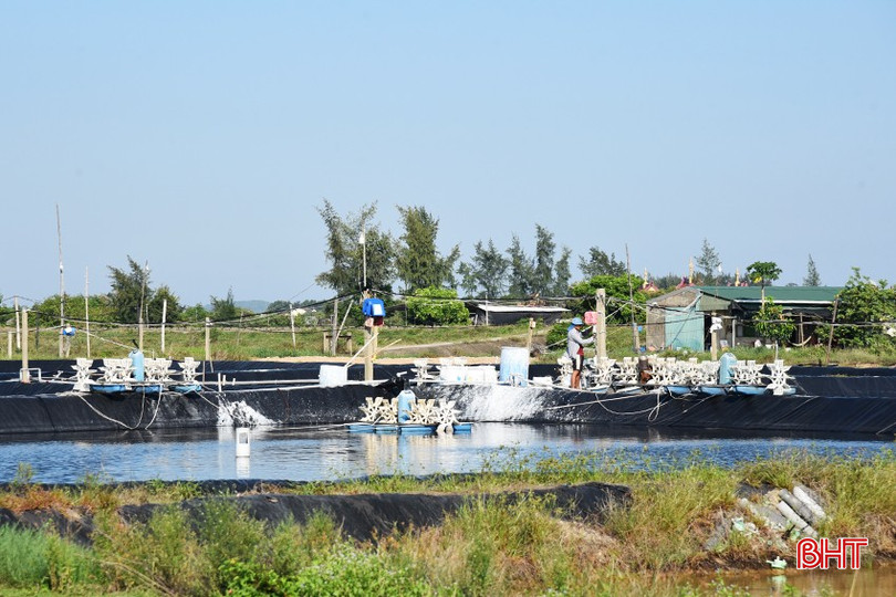 Người nuôi trồng thủy sản gấp rút khắc phục sự cố để đảm bảo an toàn cho các hồ nuôi nhưng bất thành. DSC_0921 - Copy.JPG