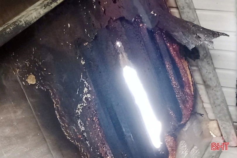 Dây điện bị đứt gây cháy hồi đầu tháng 6/2024 ở khu vực nuôi trồng thủy sản vùng Hà Lầm. 123 - Copy.jpg