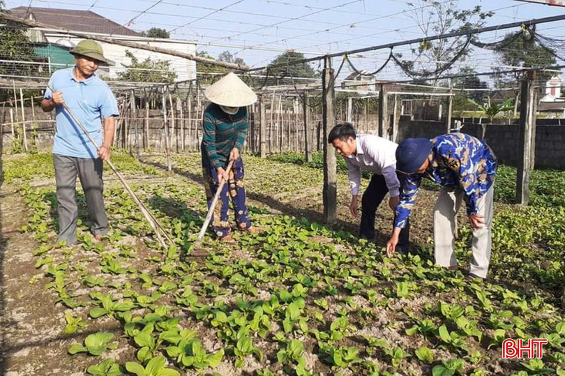 Nhiều gia đình tận dụng đất vườn để mở rộng diện tích trồng rau theo hướng sản xuất cuốn chiếu. 123-copy-30.jpg