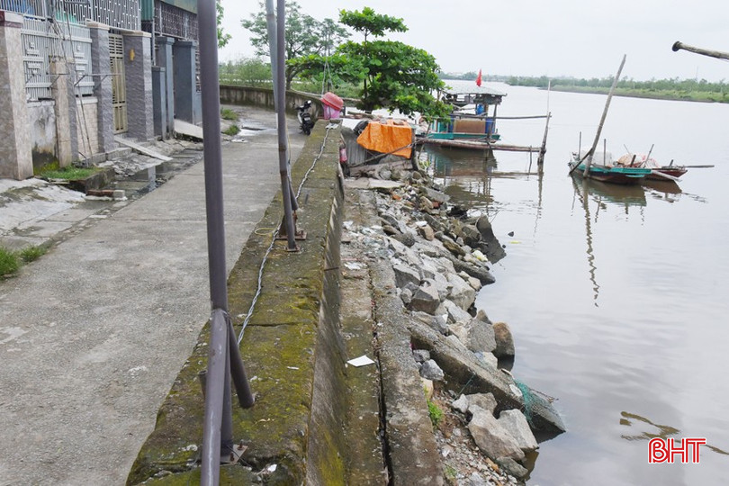 Khoảng 300m đê Hữu Nghèn đoạn qua thôn Đông Hà 2 (xã Thạch Hà) đang bị xói sâu, lở hàm ếch, đá lát mặt kè bị cuốn trôi... bqbht_br_dsc-1789.jpg