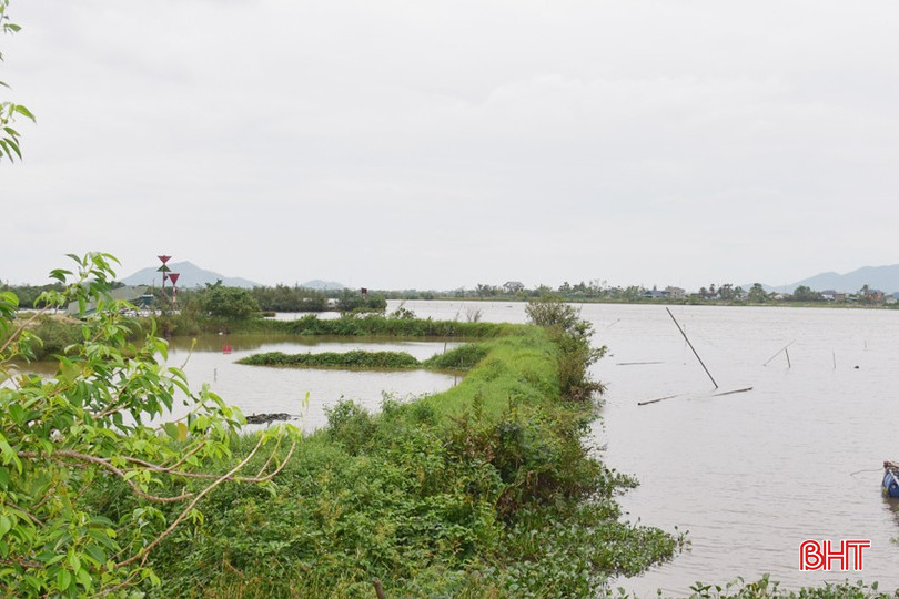Đoạn bờ sông dài gần 4 km ngay sát bara Đò Điệm chưa được xây dựng, chỉ có bờ đê bao bằng đất tạm bợ do các hộ nuôi trồng thủy sản trong vùng tự đắp. bqbht_br_dsc-1813.jpg