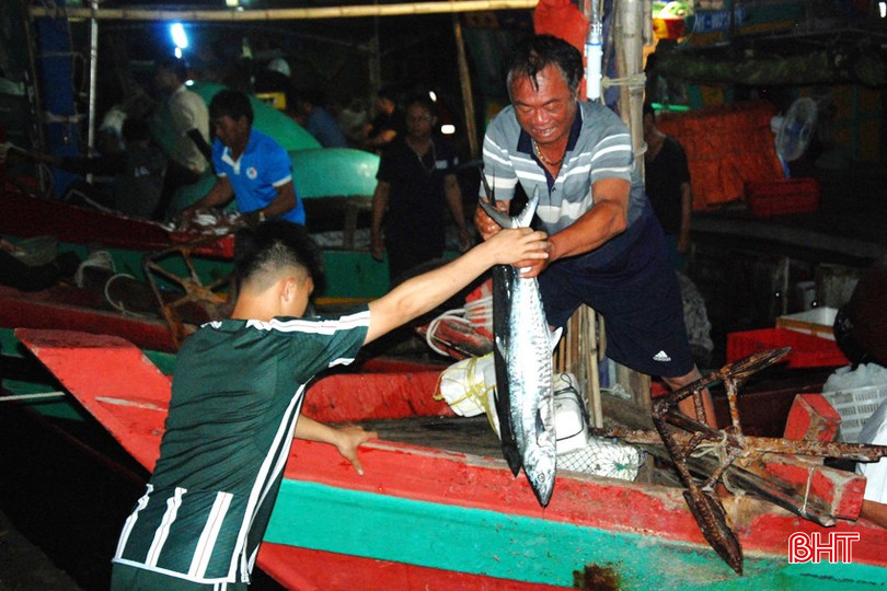 Các loại hải sản tươi ngon, có giá trị do ngư dân Thạch Kim đánh bắt được đưa về cảng. bqbht_br_ngu-dan-thach-kim-mang-qua-tang-bien-khoi-ve-cang-ca-cua-sot.jpg