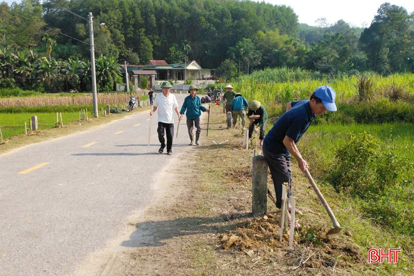 CCB huyện xã Đức Bồng (Vũ Quang) trồng cây bóng mát trên các tuyến đường chính. 4-copy-9860-9514.jpg