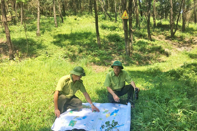Kiểm tra, khảo sát, đánh giá nguy cơ cháy ở các rừng thông. 4-copy.jpg