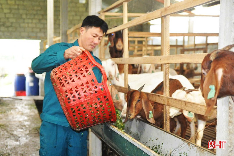 Ngoài thực hiện tốt nhiệm vụ chuyên môn, anh Uông Tiến Dũng còn xây dựng mô hình kinh tế cho thu nhập cao. bqbht_br_3-copy.jpg