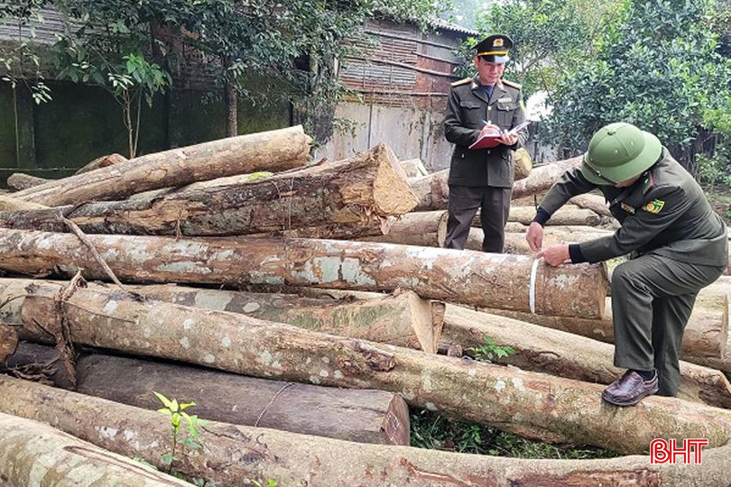 Kiểm lâm Hương Sơn kiểm đếm tang vật tịch thu trong các vụ vi phạm Luật Lâm Nghiệp. 123 - Copy.jpg