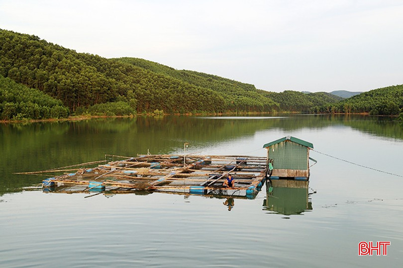 Người dân thị trấn Vũ Quang nuôi các loài cá có giá trị cao trong lồng bè ở lòng hồ Ngàn Trươi - Cẩm Trang. bqbht_br_72d1085535t73613l0.jpg
