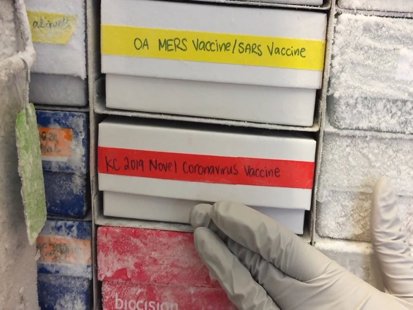 Một mẫu vắc-xin đang thử nghiệm chống virus corona mới được đưa trở lại tủ đông. Ảnh: AP . Trận chiến khốc liệt giữa hệ miễn dịch người với virus corona