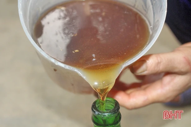 Vũ Quang “nâng sao”, xây dựng 12 đặc sản đạt chuẩn OCOP