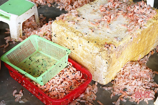 Hà Tĩnh: Phát hiện cơ sở “hô biến” tôm chết thành… tôm nõn!