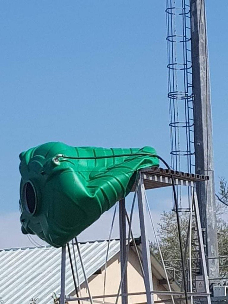 Ấn tượng với những hình ảnh kỳ thú của thiên nhiên