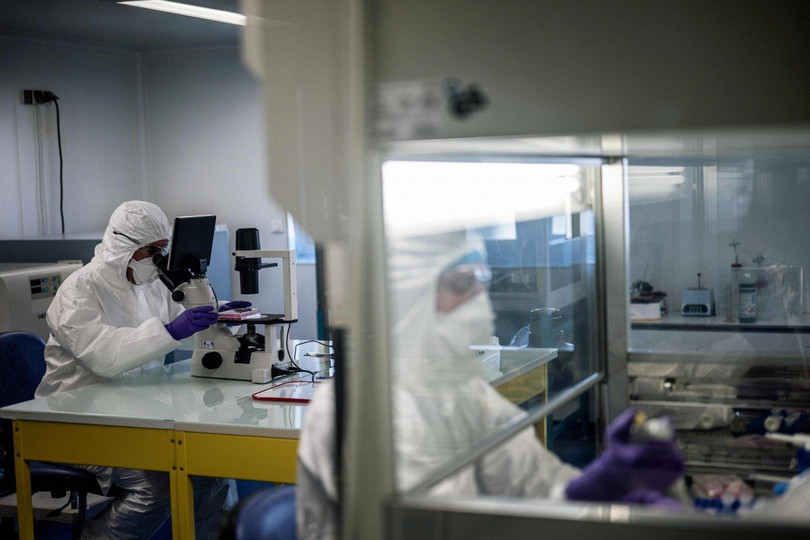Các nhà khoa học tại phòng lab Đại học VirPath ở Lyon, Pháp , đang nghiên cứu cách điều trị virus corona. Ảnh: AFP . Trận chiến khốc liệt giữa hệ miễn dịch người với virus corona