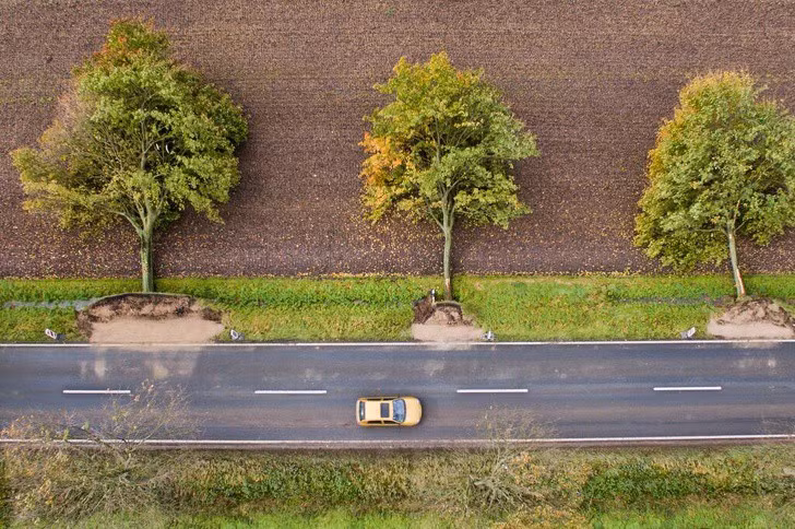 Ấn tượng với những hình ảnh kỳ thú của thiên nhiên