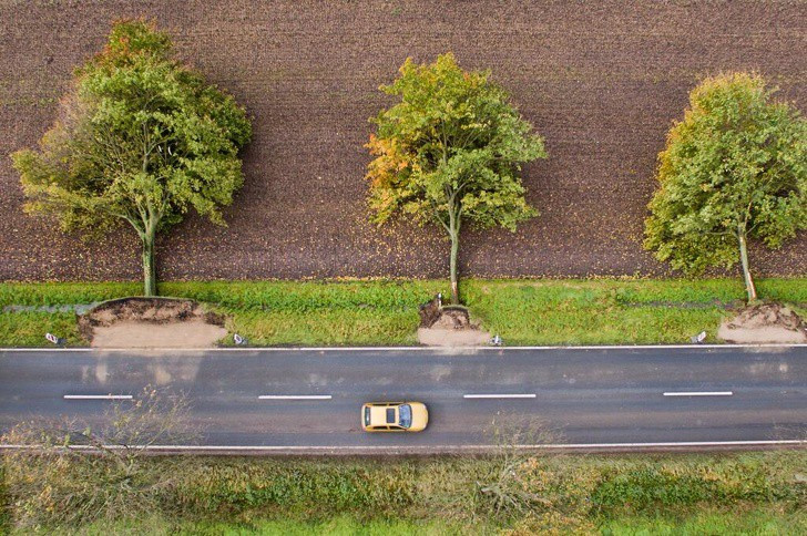 Ấn tượng với những hình ảnh kỳ thú của thiên nhiên