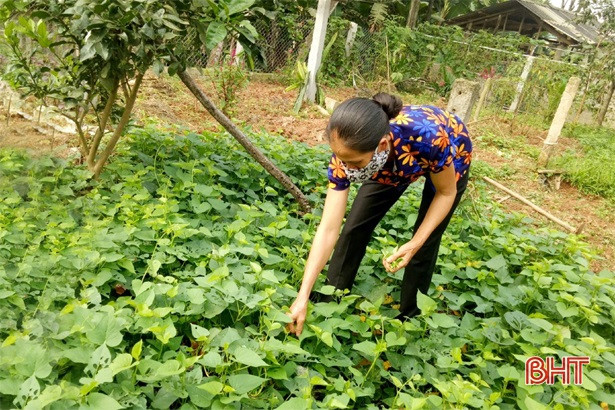 Phụ nữ Hà Tĩnh góp gạo, thổi cơm, hỗ trợ hậu cần khu cách ly tập trung