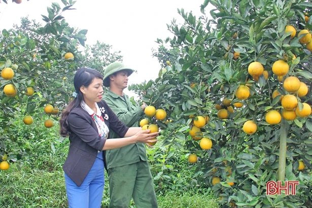 Vũ Quang “nâng sao”, xây dựng 12 đặc sản đạt chuẩn OCOP