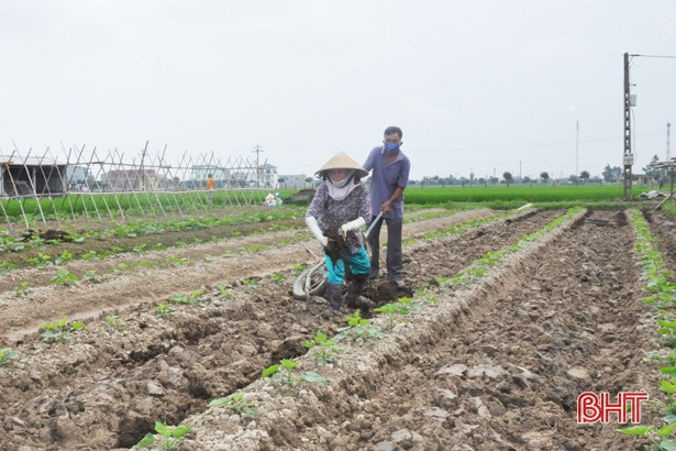 Chống dịch Covid-19 là việc làng, việc nước