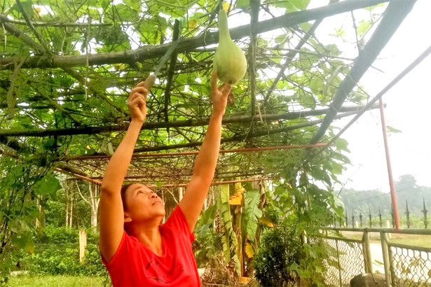 Phụ nữ Hà Tĩnh góp gạo, thổi cơm, hỗ trợ hậu cần khu cách ly tập trung