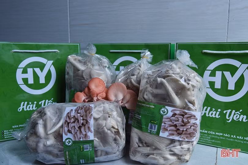 Xây dựng thế hệ nông dân Hà Tĩnh mang tư duy kinh tế nông nghiệp